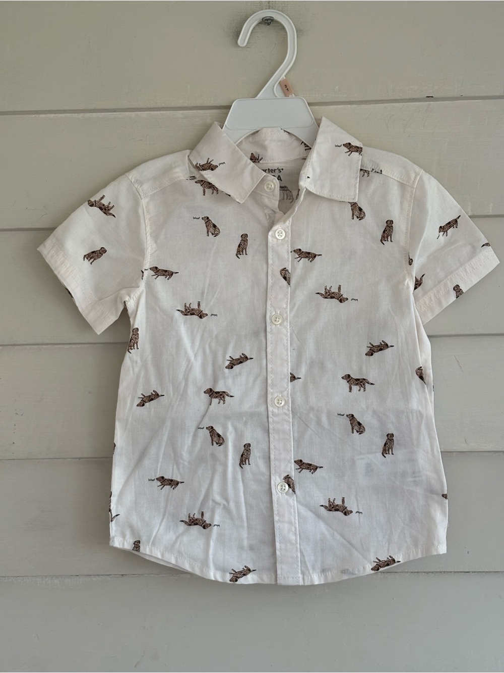 Carter's 2 Piece Short Sleeve Button Down Fog Print and Shorts Size Boy’s 2T